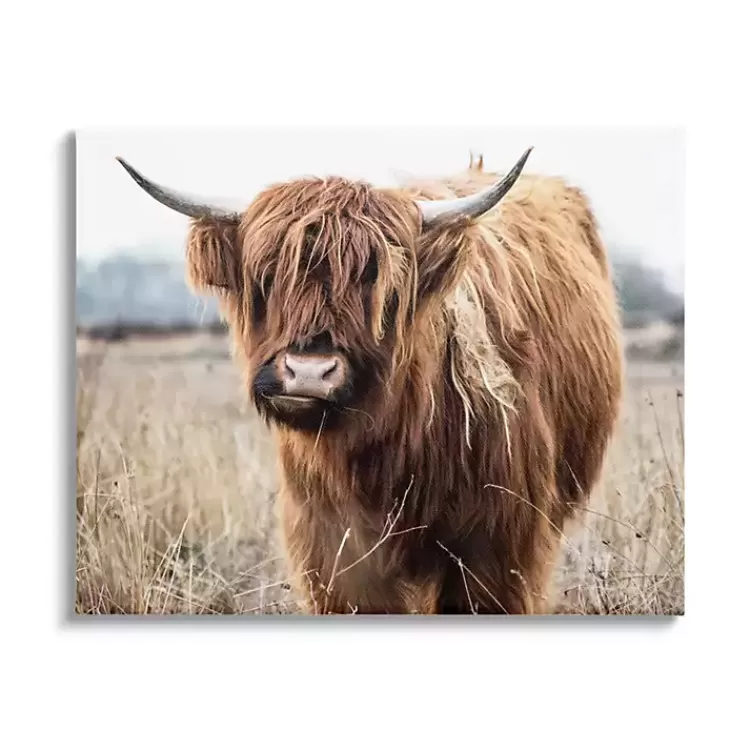 Longhorn in Tall Grass Canvas Art Print, 40x30 in.>Kirklands Home Clearance