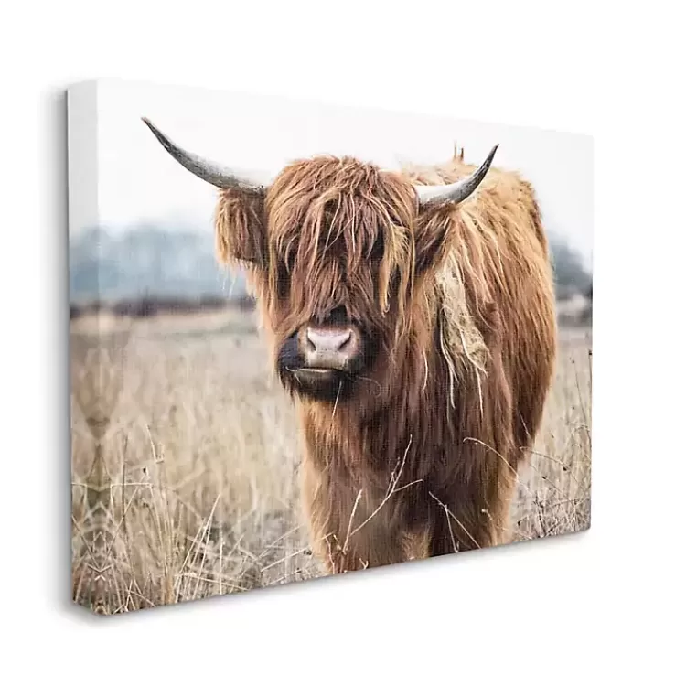 Longhorn in Tall Grass Canvas Art Print, 40x30 in.>Kirklands Home Clearance