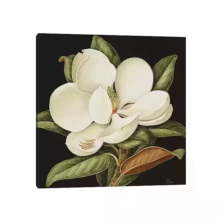Magnolia Grandiflora Canvas Art Print>Kirklands Home Fashion