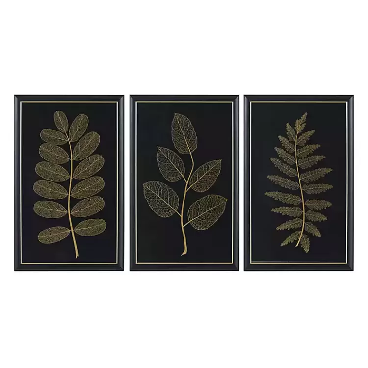 Martha Stewart Botanical Framed Prints, Set of 3>Kirklands Home Outlet
