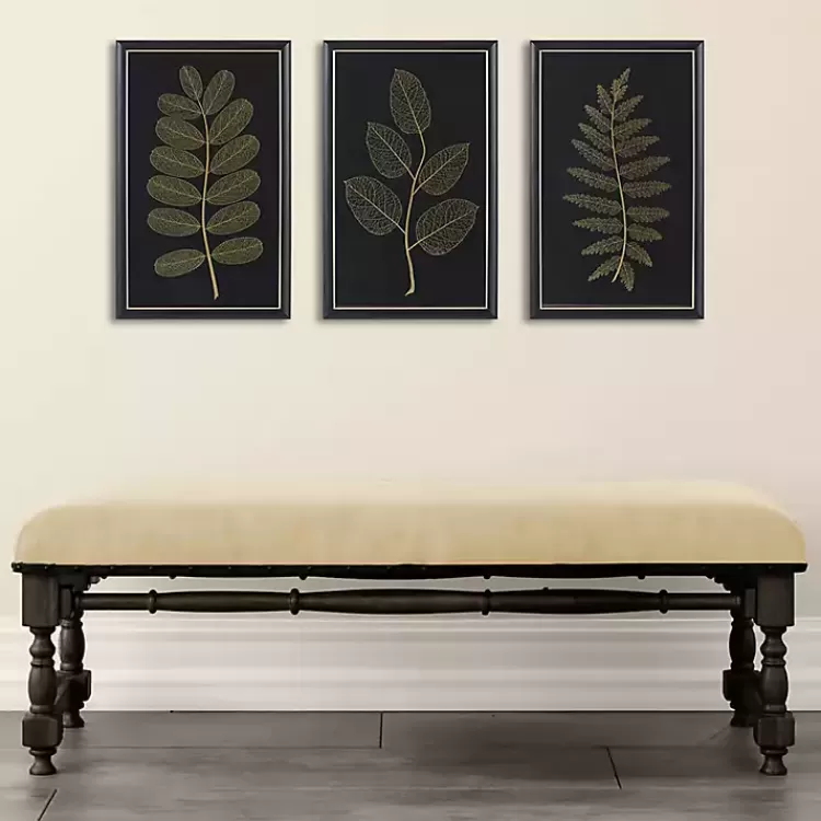Martha Stewart Botanical Framed Prints, Set of 3>Kirklands Home Outlet
