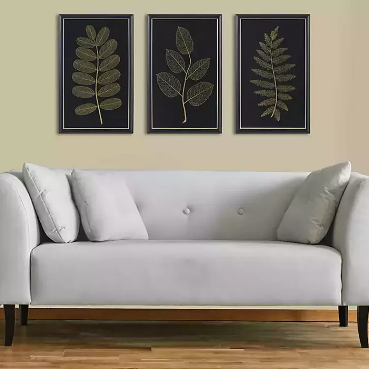 martha_stewart_botanical_framed_prints_set_of__2.webp Martha Stewart Botanical Framed Prints, Set of 3>Kirklands Home Outlet