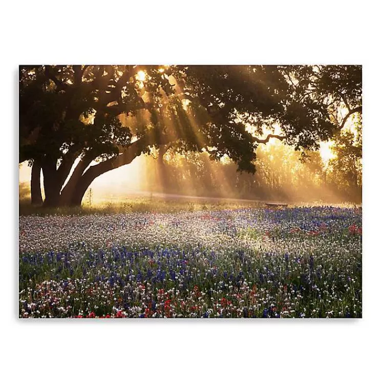 Morning Meadow Giclee Canvas Art Print, 40x30 in.>Kirklands Home Best