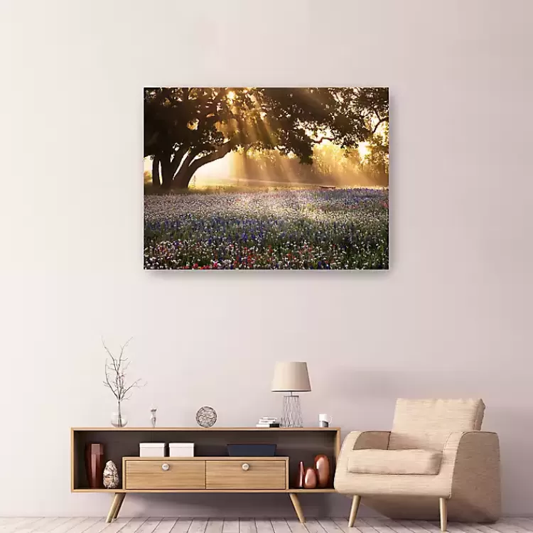 Morning Meadow Giclee Canvas Art Print, 48x36 in.>Kirklands Home Flash Sale