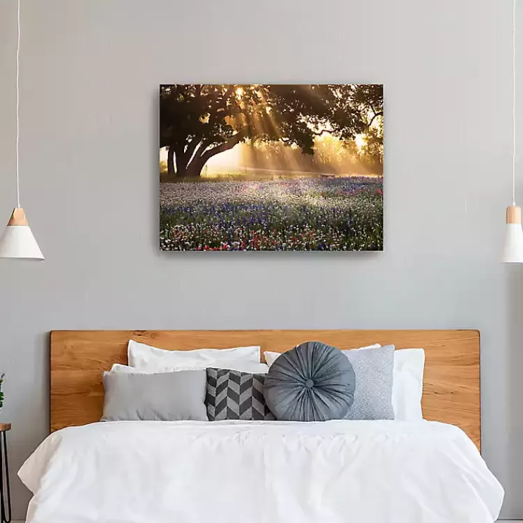 Morning Meadow Giclee Canvas Art Print, 40x30 in.>Kirklands Home Best