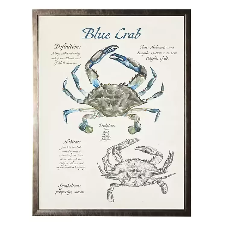 Nature Study of a Blue Crab Framed Art Print>Kirklands Home Store