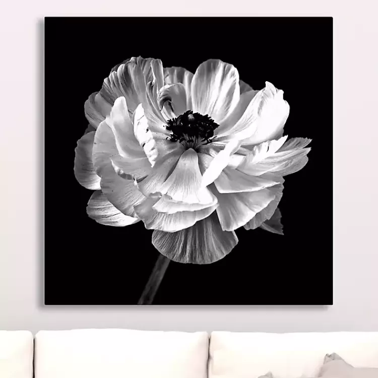 Noir Ranunculus Floral Giclee Canvas Art Print>Kirklands Home Discount