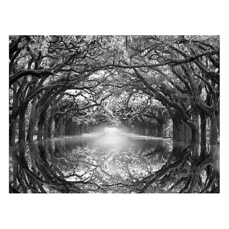 Oak Alley Reflection Giclee Canvas Art Print>Kirklands Home Flash Sale