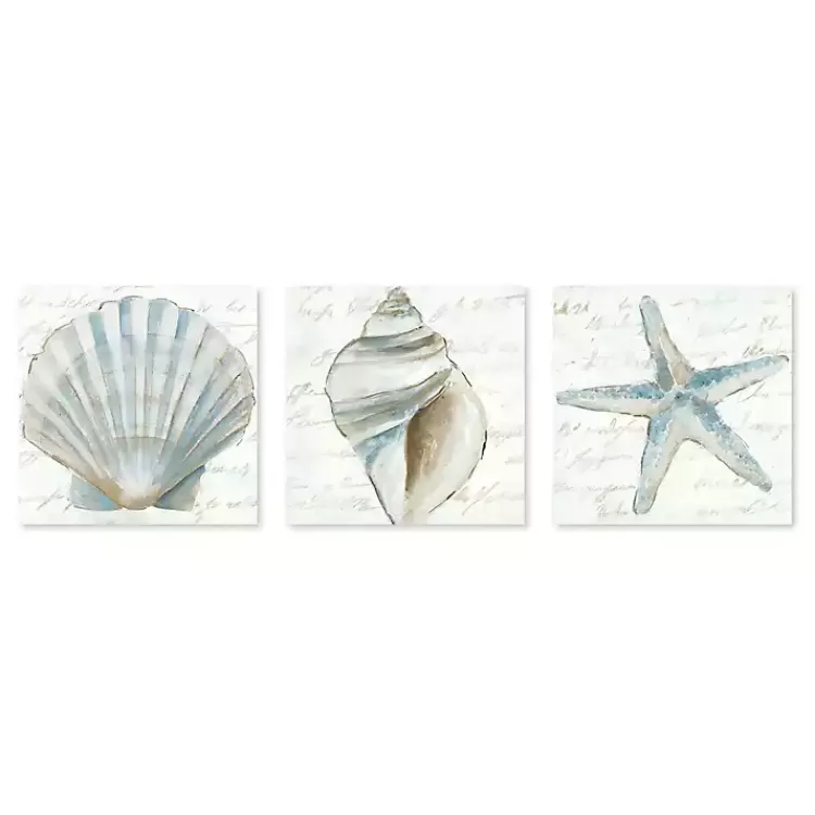 Ocean Treasures Canvas Art Prints, Set of 3>Kirklands Home Clearance