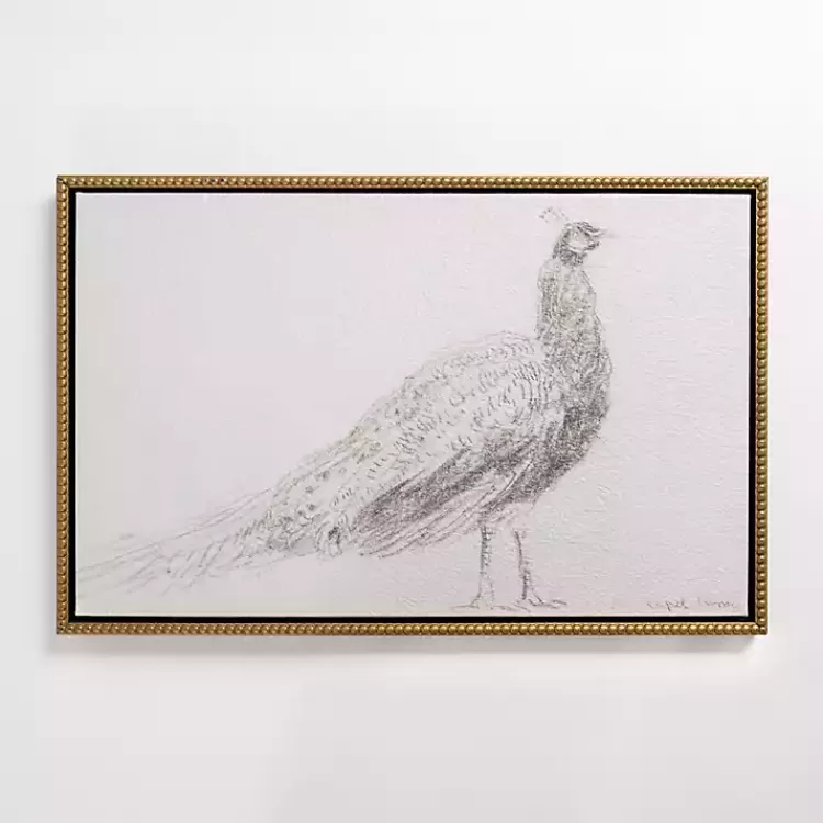 Peacock Sketch Framed Canvas Art Print>Kirklands Home Flash Sale
