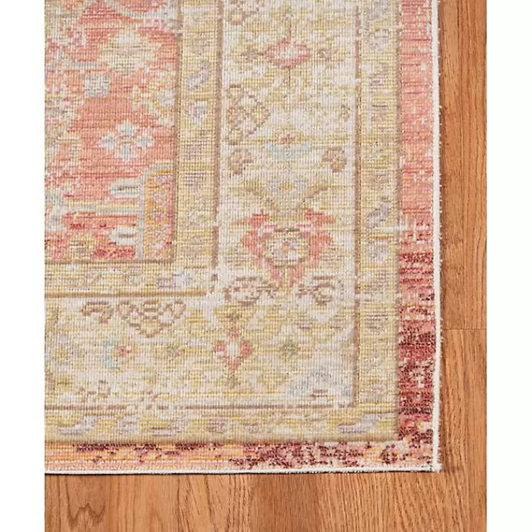 Salmon Vintage Border Area Rug>Kirklands Home Sale