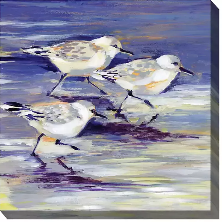 Sandpipers Outdoor Canvas Art Print>Kirklands Home Best Sale