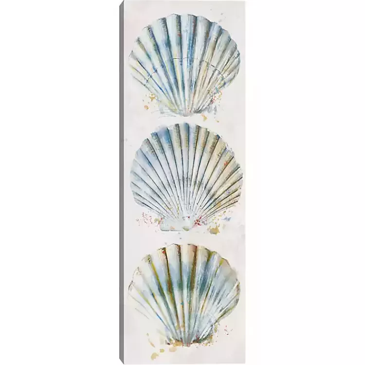 Shell Panel I Giclee Canvas Art Print>Kirklands Home Cheap
