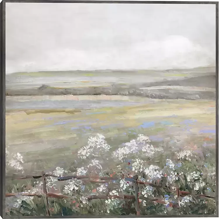 Soft Summer Meadow II Framed Canvas Art Print>Kirklands Home Cheap