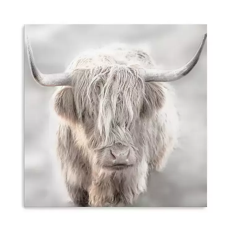 Solo Highland Cow Canvas Art Print, 40x40>Kirklands Home Discount