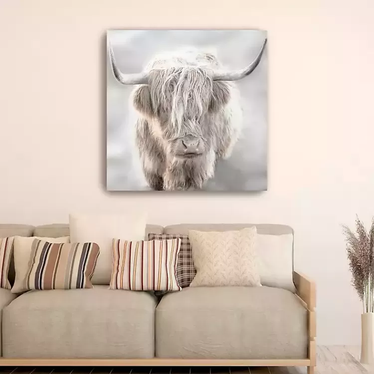 Solo Highland Cow Canvas Art Print, 40x40>Kirklands Home Discount