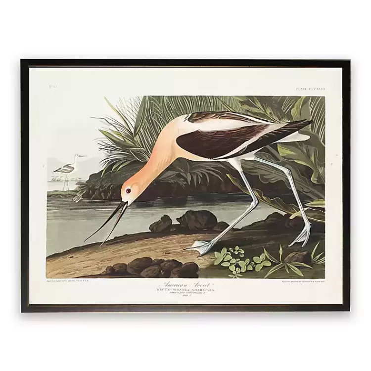 Vintage American Avocet Bookplate Framed Art Print>Kirklands Home Fashion
