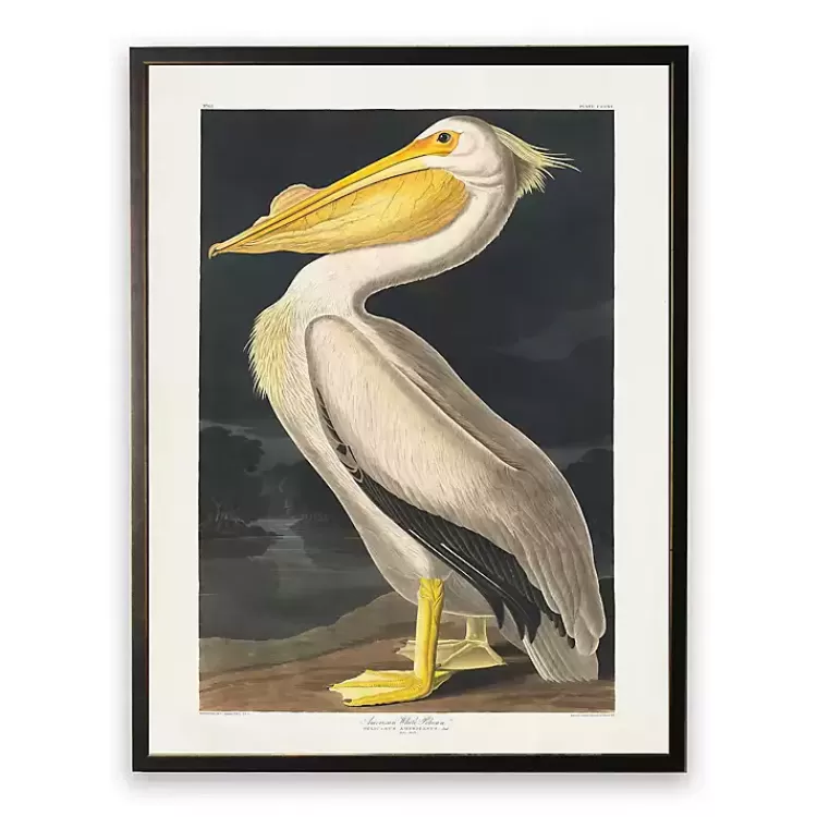 Vintage American White Pelican Framed Art Print>Kirklands Home Online