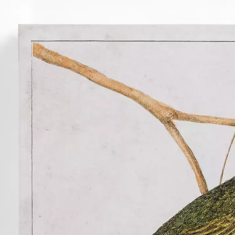 Vintage Birds Canvas Art Prints, Set of 2>Kirklands Home Online