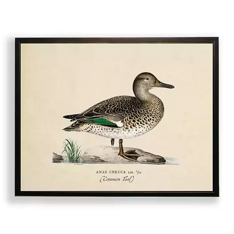 Vintage Common Teal Duck Framed Art Print>Kirklands Home New