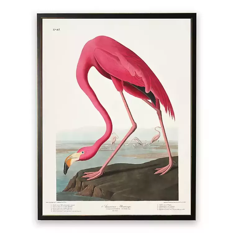 Vintage Flamingo Bookplate Framed Art Print>Kirklands Home Shop