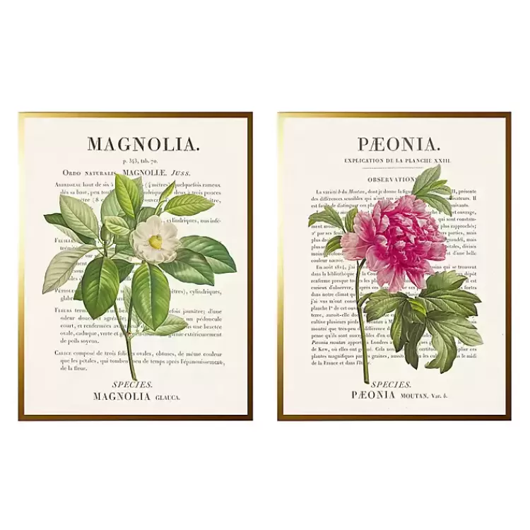 Vintage Floral Diagram Framed Art Prints, Set of 2>Kirklands Home Hot