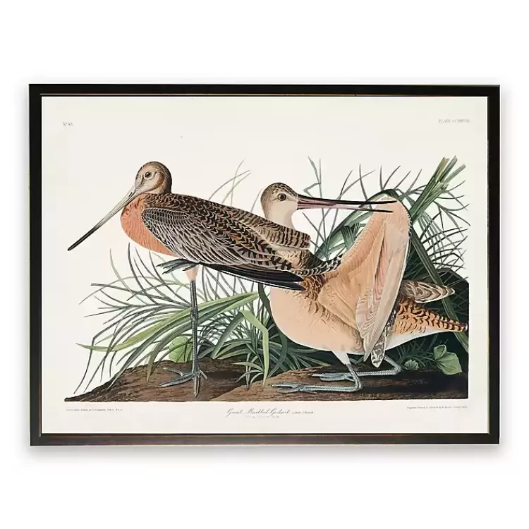 Vintage Great Marbled Godwit Framed Art Print>Kirklands Home New