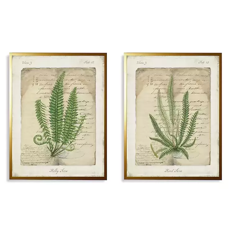 Vintage Green Ferns Framed Art Prints, Set of 2>Kirklands Home Flash Sale