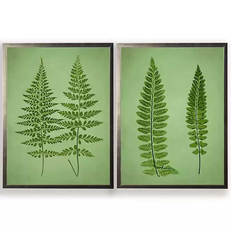 Vintage Ferns I Framed Art Prints, Set of 2>Kirklands Home Clearance