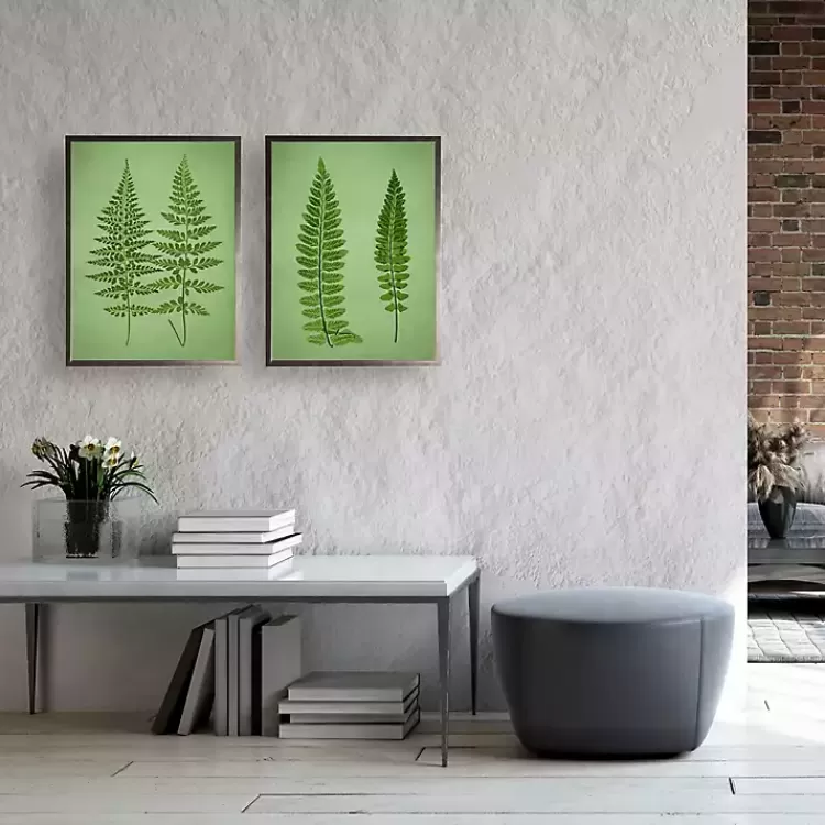 Vintage Ferns I Framed Art Prints, Set of 2>Kirklands Home Clearance