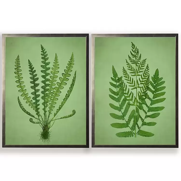 Vintage Ferns II Framed Art Prints, Set of 2>Kirklands Home Cheap