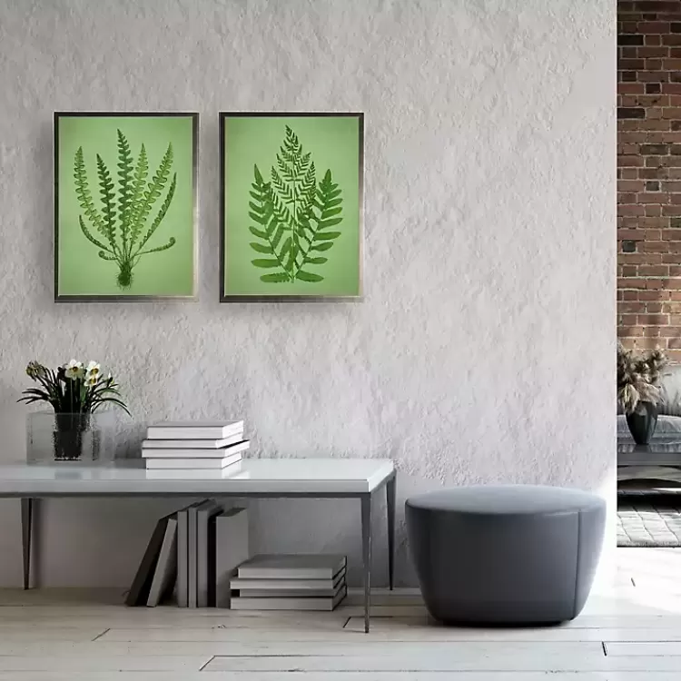 Vintage Ferns II Framed Art Prints, Set of 2>Kirklands Home Cheap