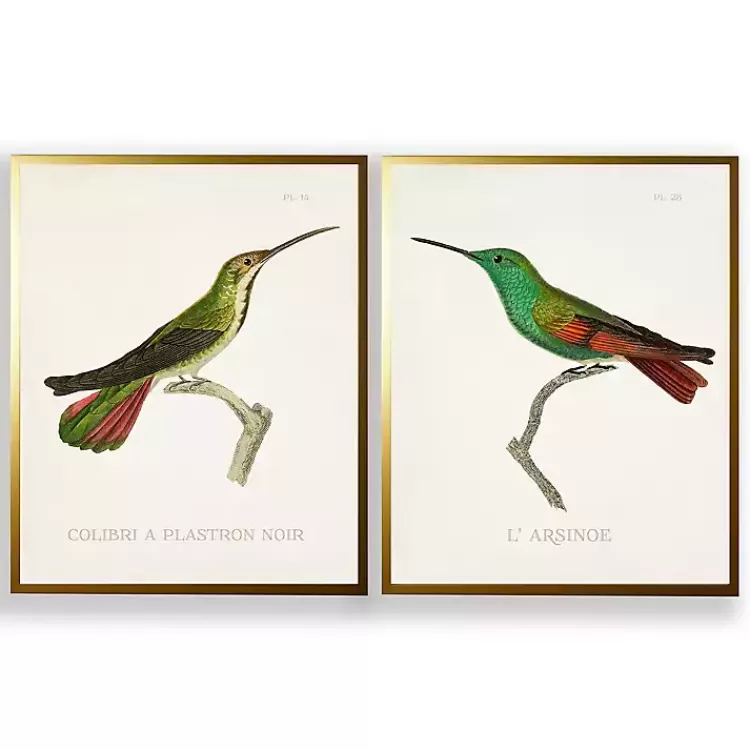 Vintage Hummingbird I 2-pc. Framed Art Print Set>Kirklands Home New