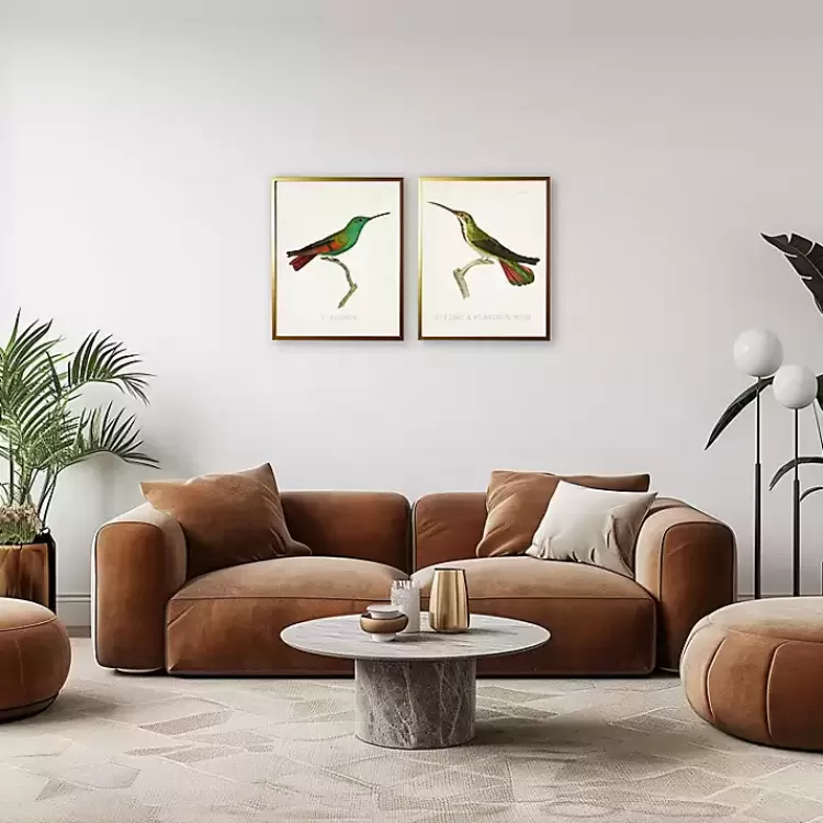 Vintage Hummingbird I 2-pc. Framed Art Print Set>Kirklands Home New