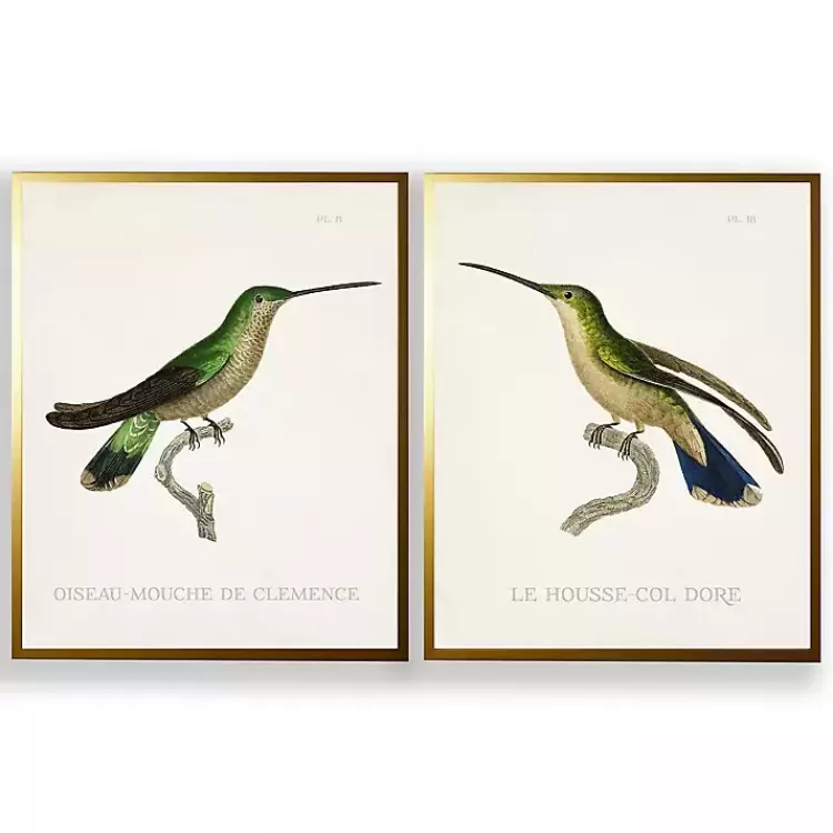 Vintage Hummingbird II 2-pc. Framed Art Print Set>Kirklands Home Hot