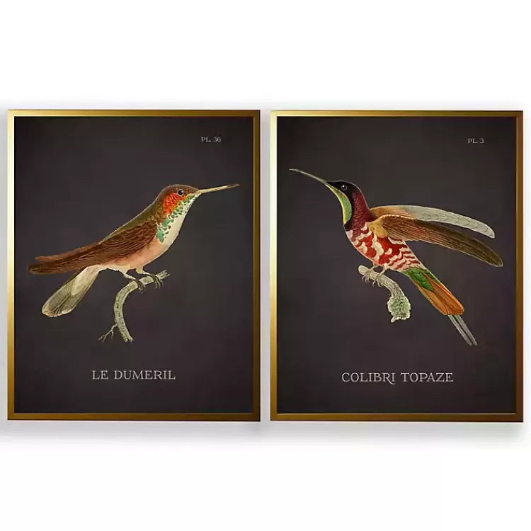 Vintage Hummingbird III 2-pc. Framed Art Print Set>Kirklands Home Shop