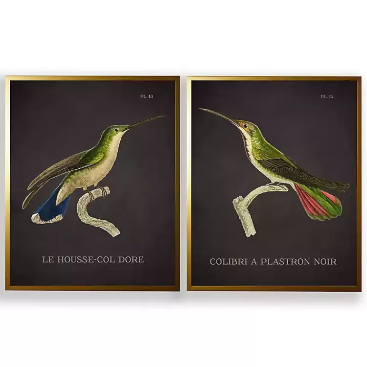 Vintage Hummingbird IV 2-pc. Framed Art Print Set>Kirklands Home Hot