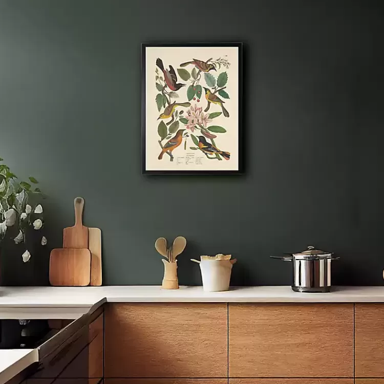 Vintage Oriole Birds Framed Art Print>Kirklands Home Store