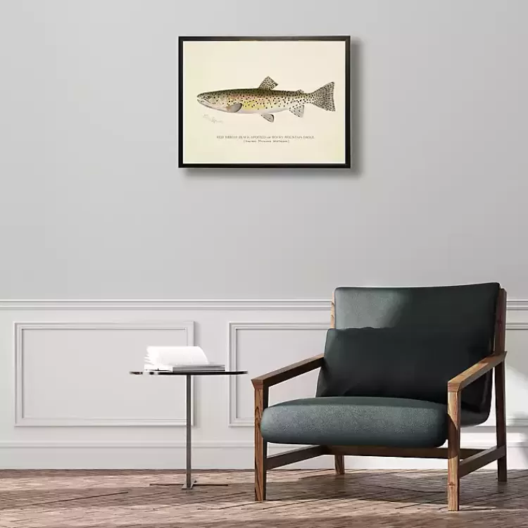 Vintage Rocky Mountain Trout Framed Art Print>Kirklands Home Cheap