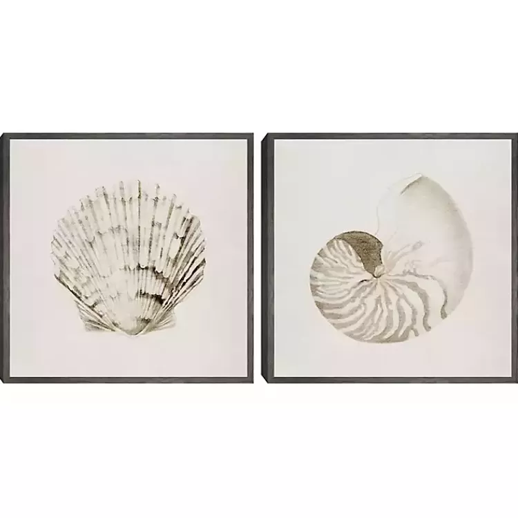 Vintage Shells Framed Canvas Art Prints, Set of 2>Kirklands Home Store