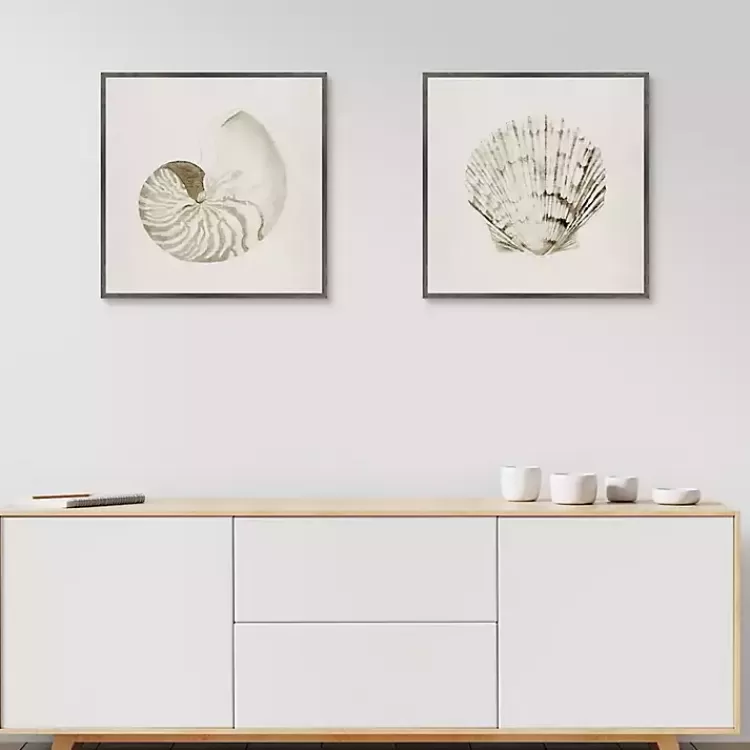 Vintage Shells Framed Canvas Art Prints, Set of 2>Kirklands Home Store