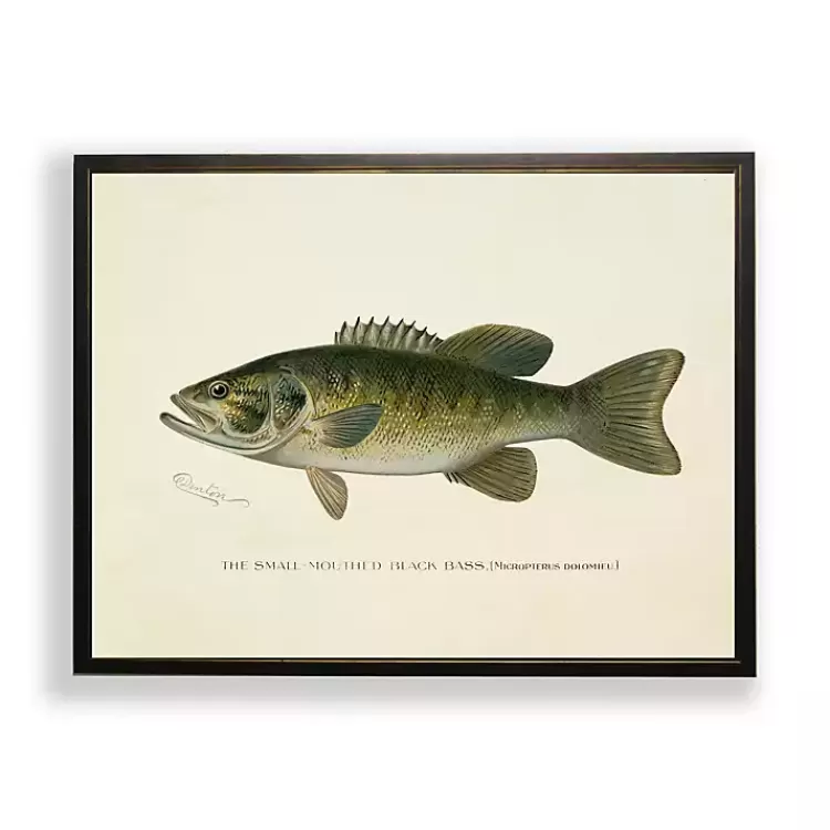 Vintage Small Mouthed Bass Framed Art Print>Kirklands Home Clearance
