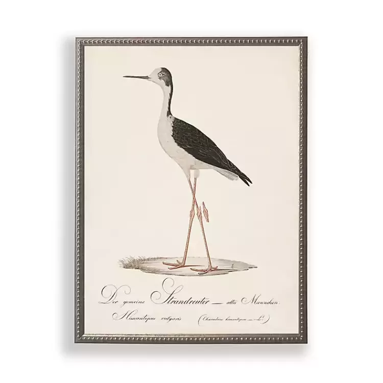 Vintage Waterbird Facing Left Framed Art Print>Kirklands Home Discount