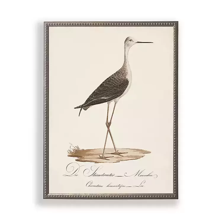 Vintage Waterbird Facing Right Framed Art Print>Kirklands Home Online