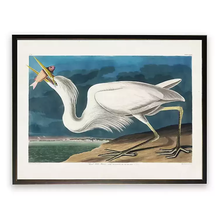 Vintage White Pelican With Fish Framed Art Print>Kirklands Home Hot