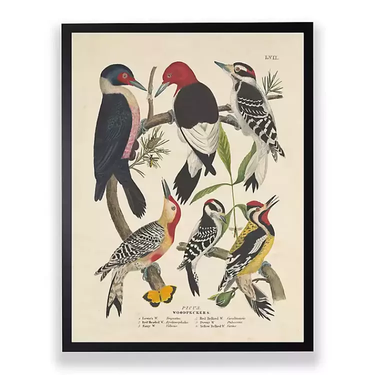 Vintage Woodpecker Birds Framed Art Print>Kirklands Home Store