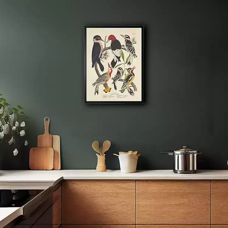 Vintage Woodpecker Birds Framed Art Print>Kirklands Home Store